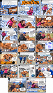 FiabaSofiaRunRun
